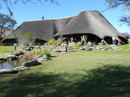 Game Drive and Brunch with the Lions