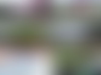 Mont-Tremblant: Village, Beach, and Woods