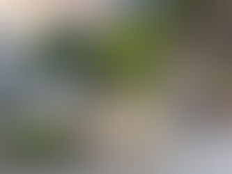 Fun at the Aquarium du Québec