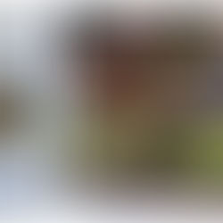 A Hearty Serbian Meal