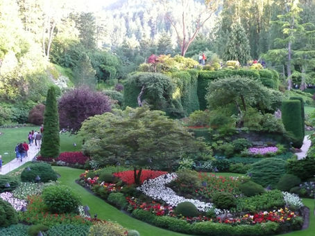 The Blooms of Butchart Gardens