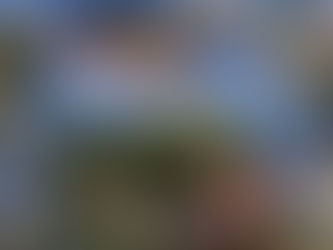 More Walking in Sofia