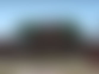 A Medieval Castle in the Middle of the Desert