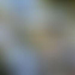 Belgrade Fortress: Serbia's Sentinel of History