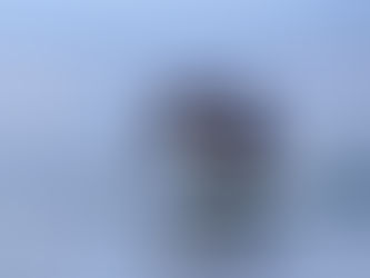 Off to See the Whales!