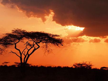 Newfangled Namibia