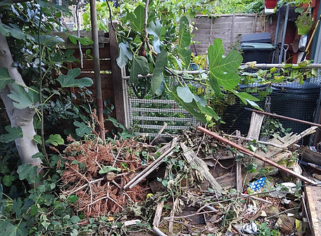 WhatsApp Image 2025-10-12 at 10.31.10.jpeg