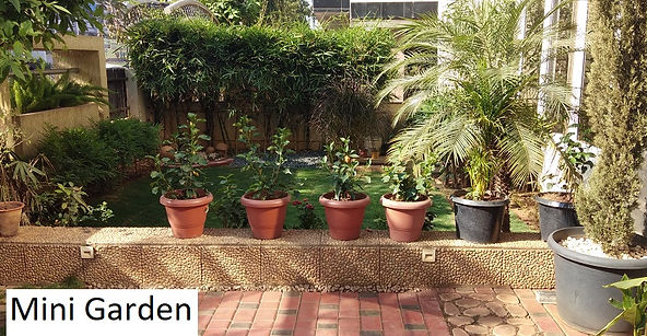 Mini garden 5 final.jpg