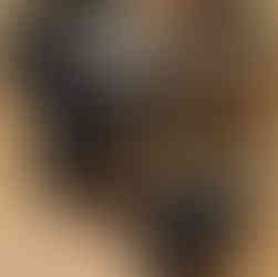 An ASR Pro chassis with a Simucube 2 Pro wheelbase, Heusinkveld Sprint Pedals, GSI X-29 Wheel, Ascher Racing Dashboard, OMP seat, D-Box motion haptics.