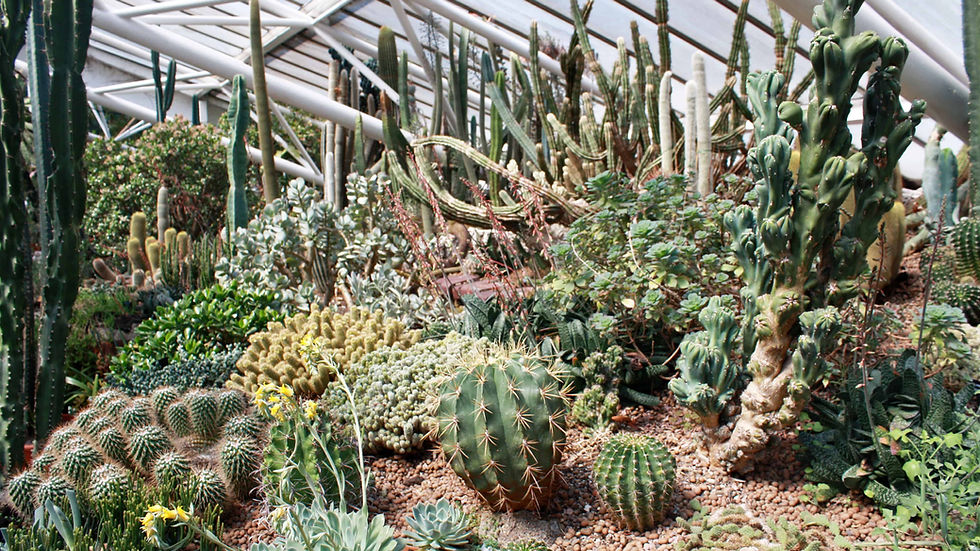 The Barbican London Conservatory Art Print