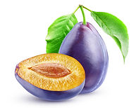 shutterstock_2064638081.jpg