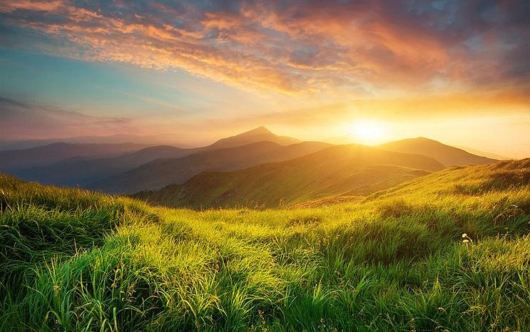 shutterstock_2336514393.jpg