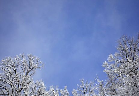 雪