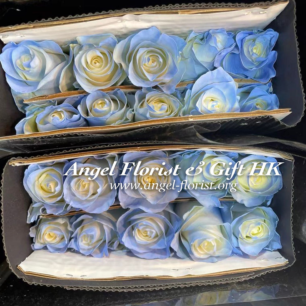 縮圖：11枝碎冰藍玫瑰花束(K011)