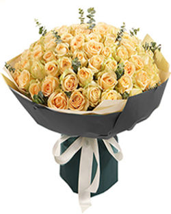 66枝香檳玫瑰+襯葉