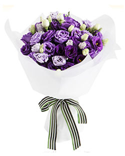 多頭紫色桔梗花