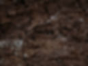 annie-spratt-V6xalLLA8AU-unsplash_V2.jpg