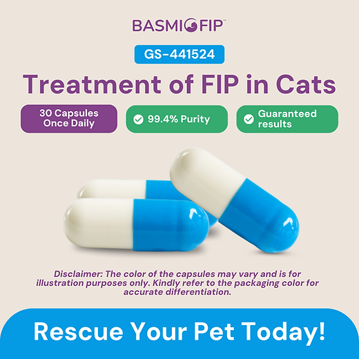 Oral Capsules, 30 Days of Treatment, for cats more than 4kg