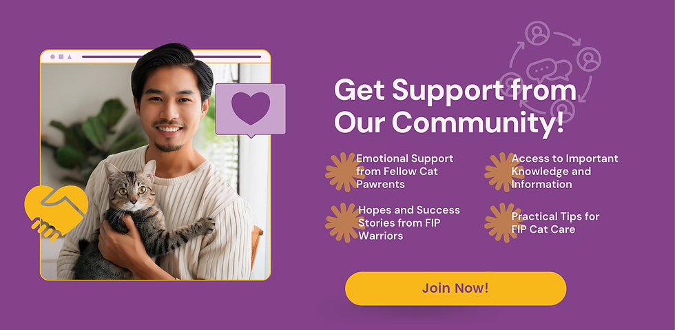 Tuklasin ang kahalagahan ng pagsali sa isang FIP cat community para sa emosyonal na suporta, ekspertong gabay sa paggamot, at pag-asa. Alamin ang mga opsyon sa paggamot ng FIP, mga kwento ng tagumpay, at kung paano tinutulungan ng BasmiFIP ang mga cat owners sa paglaban sa Feline Infectious Peritonitis (FIP). Makahanap ng suporta ngayon!