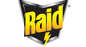 Raid-Logo-1999.png