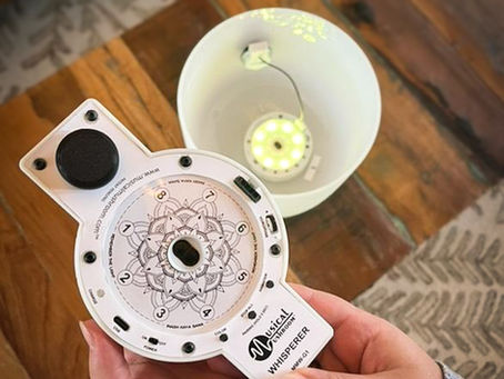 Introducing the New Musical Mushroom Whisperer!