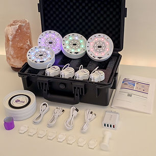MusicalMushroomQuadUnitProfessionalKit.jpg