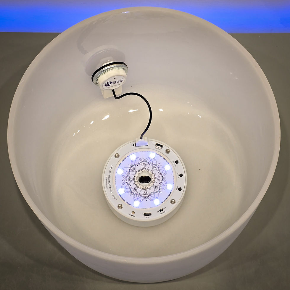High angle view of two singing bowls side by side, one labeled 432 Hz and the other 440 Hz