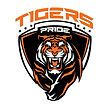 Carina Leagues Club Tigers