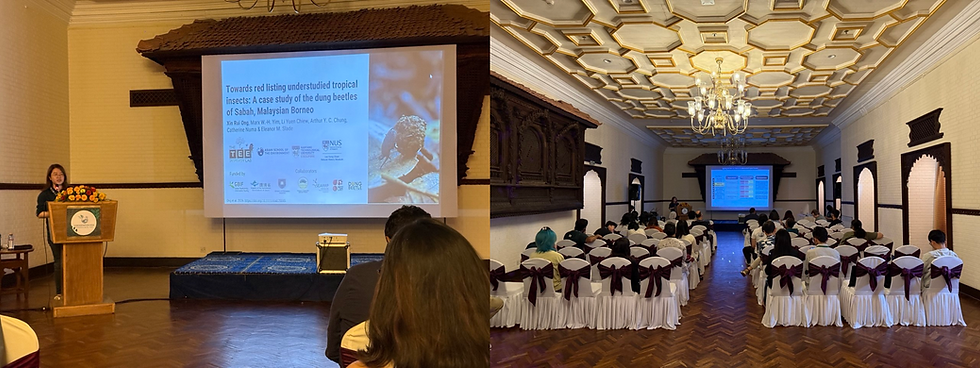 Xin Rui's presentation at CAC Nepal 2026. Photos 2026 Fung Tze Kwan.
