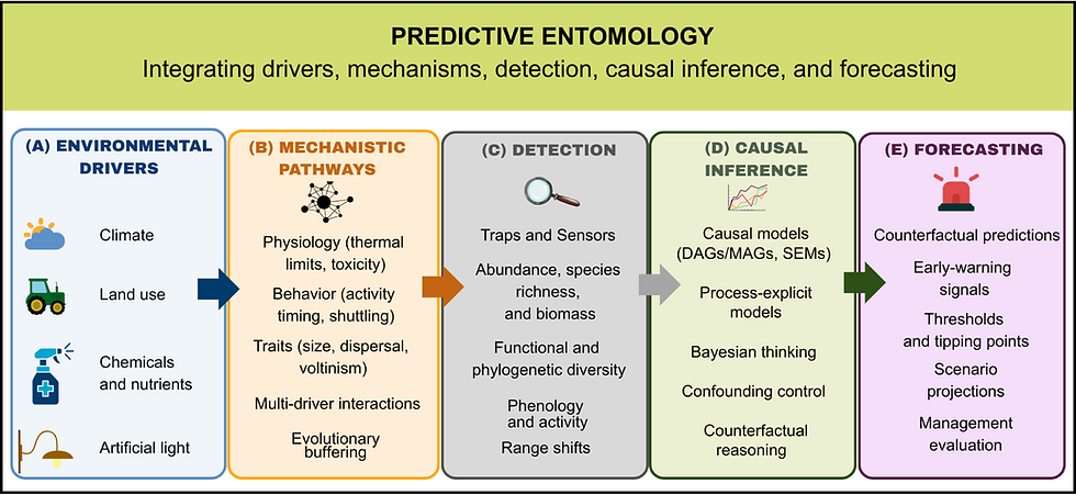 Predictive entomology: Understanding and forecasting insect population change
