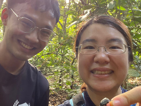 Exciting finds in Dung Beetle Surveys