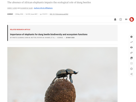 (NEW Publication) The hidden consequences of elephant extinction