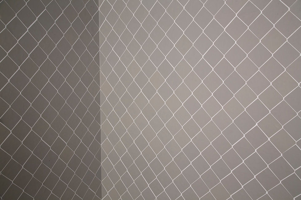 Ruth Orr, Wall (detail) 2017