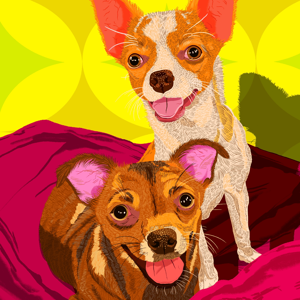 An illustration of two dogs on a yellow background