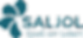 saljol-logo.png