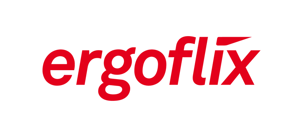 ergoflix-logo.webp