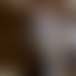 おもちくん【里親決定】