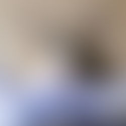 りんちゃん【里親決定】