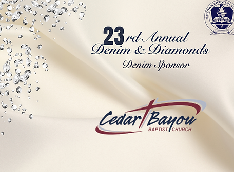 2025 Denim & Diamonds Sponsor (3).png