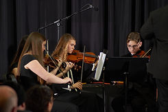 orch.jpg