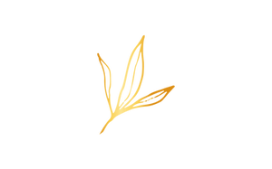 grafik_blaetter4.png