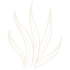 pflanze3.png