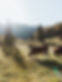 traeumerei_ausblick_1.jpg