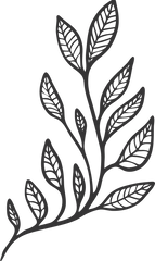 Puun lehdet -illustraatio, peilikuva
