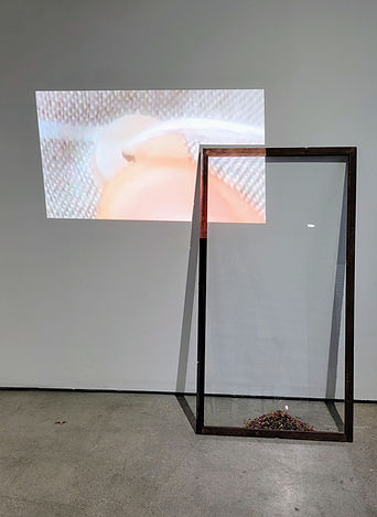 20240412_173319 (1).jpg