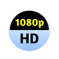 20220427_051641[1]_edited.png