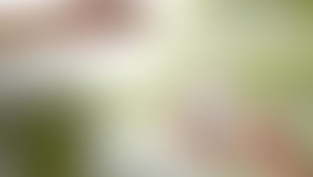 Essential questions to ask when purchasing a property