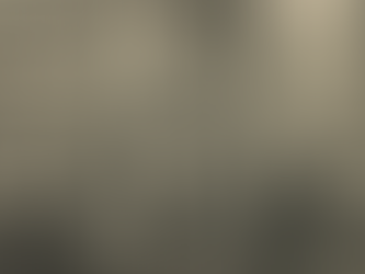 Lessons from the Past for the Present and Future- A Virginia History 