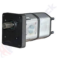 Landini Tractor Pumps 4212880.png