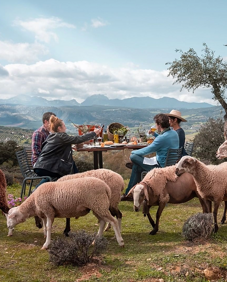 Friends enjoying Mediterranean food.png